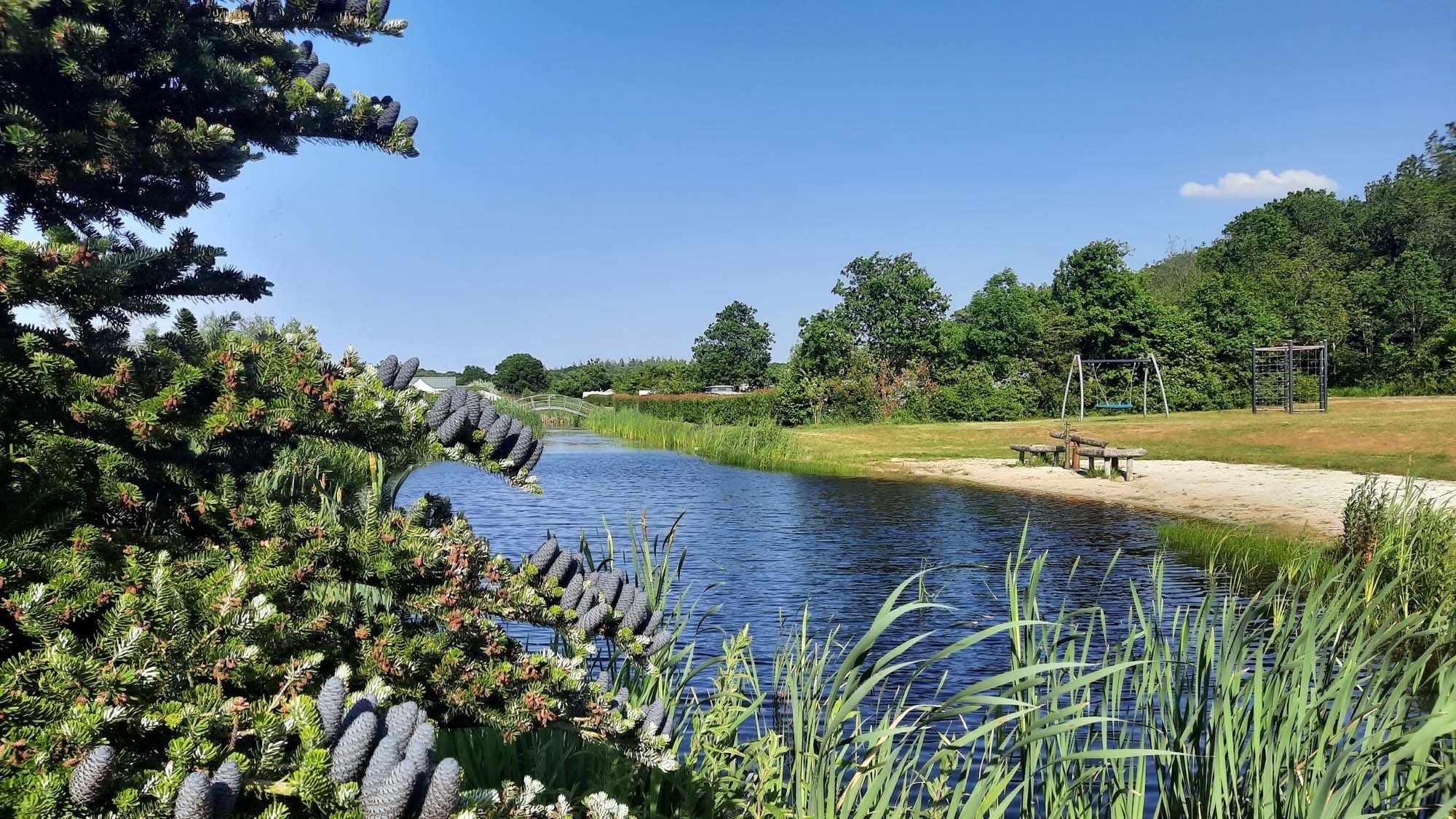 Vakantiepark bij ijsselmeer zwemvijver