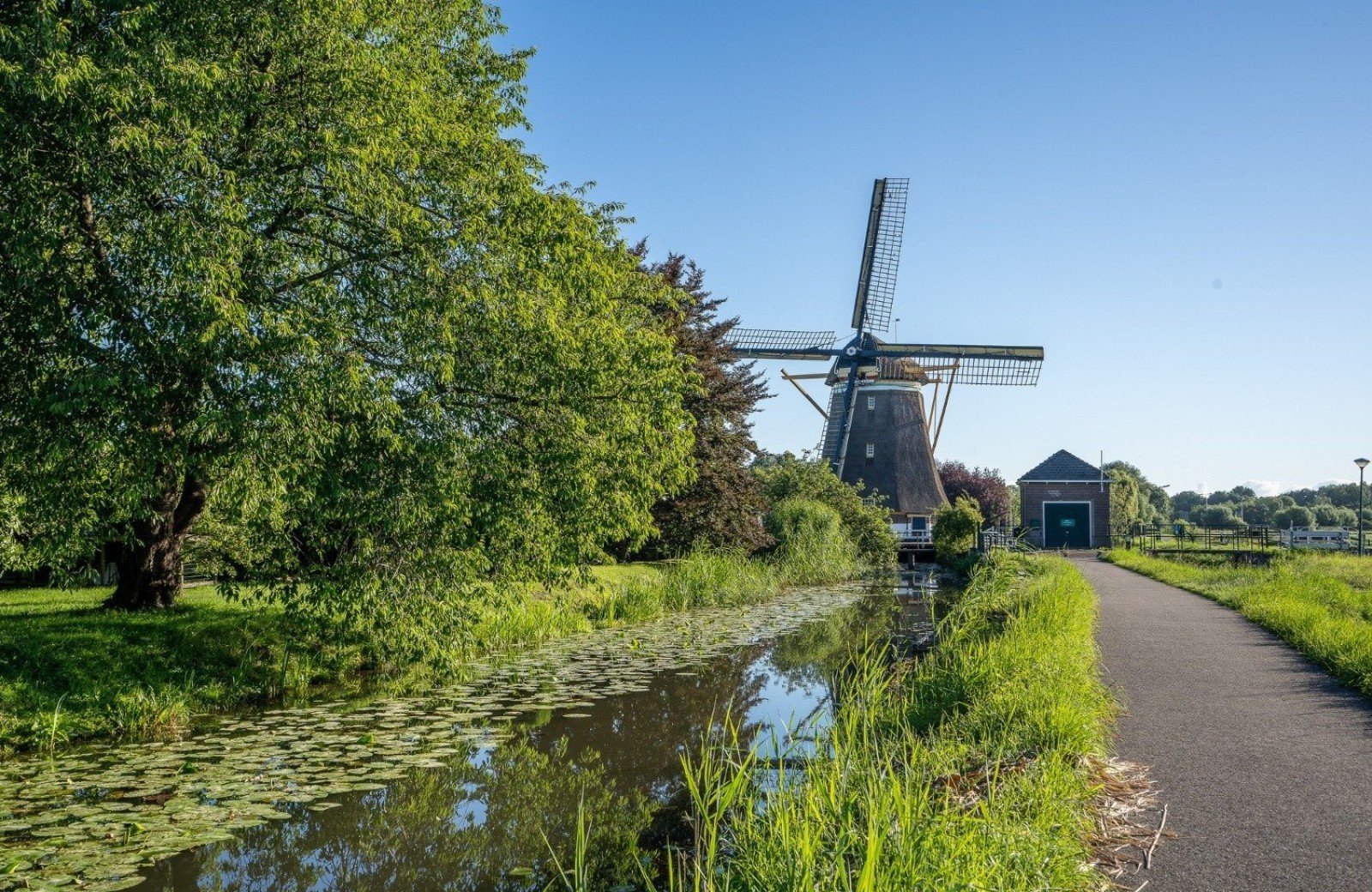Windmolen in Friesland