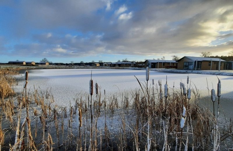 Winter vakantiepark de bosrand tips friesland